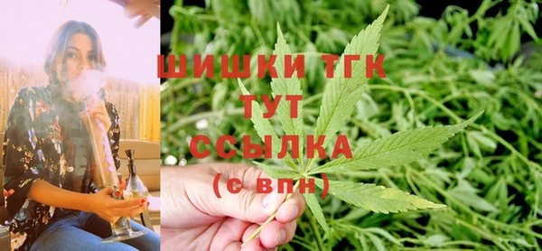 PSILOCYBIN Костерёво