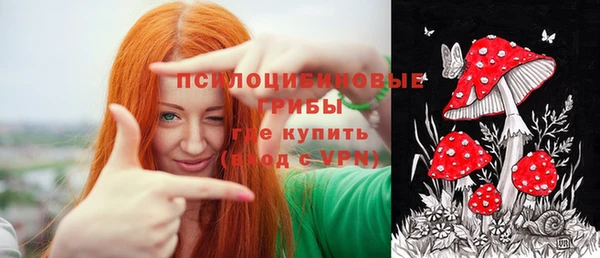 дживик Алзамай