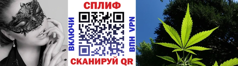 МАРИХУАНА OG Kush Аксай